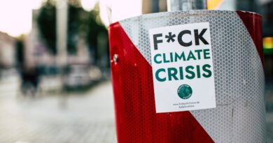 Klimawahlcheck.eu: Verbände stellen Online-Tool zur Europawahl 2024 vor