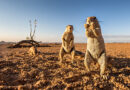 „Die Erde gehört allen“: Ein Gespräch mit Dirk Schäfer, Fotograf, Abenteurer und Motorrad-Fan über Namibia