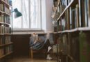 Die Macht des geschriebenen Wortes: Literatur von, mit und über Frauen