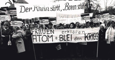 Whyl und die nachhaltige Rebellion: Ein Diskussions- und Liederabend im EWS-Store und das Schönauer Stromseminar im Juni