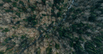 Eine Region zwischen Hitzestress und Anpassungsstrategien: Veranstaltung zu „Klimawandel im Schwarzwald“ im Literaturhaus Freiburg